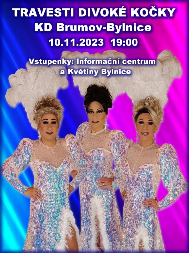 kočky