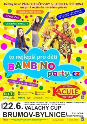 party