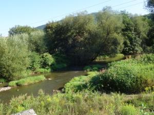 Vlára