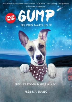 GUMP | letní kino
