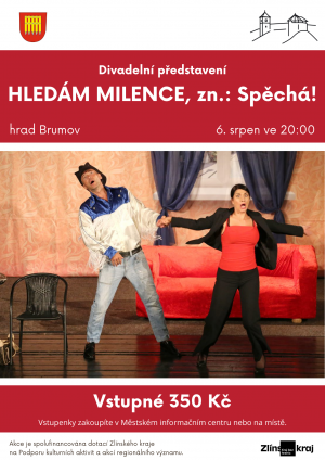 Hledám milence, zn.: Spěchá!