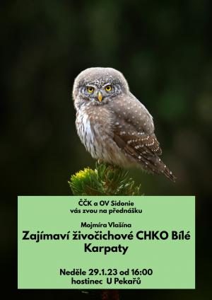 přednáška Sidonie